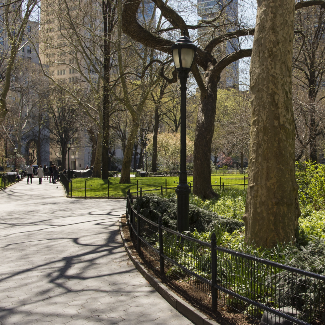New York psychotherapists. New York City Therapists. Therapist in nyc . nyc therapist for new yorkers mental health. lack of green spaces in NYC